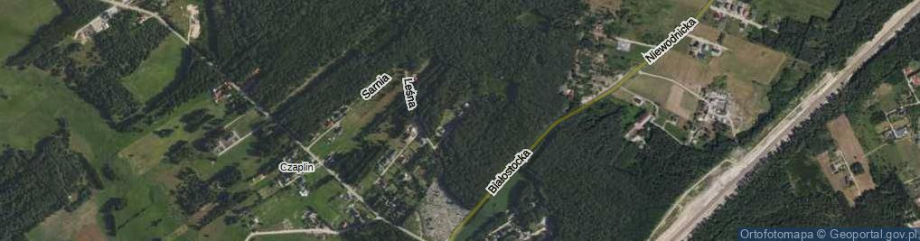 Zdjęcie satelitarne Borsucza ul.